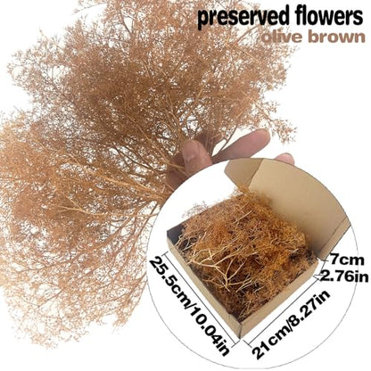 Flexible Model Tree Armatures - 1:24 to 1:220 Scale Natural Wood Texture Skeletons for Railway, Diorama & Wargame Terrain - Unbreakable & Easy to Shape, Ages 14+ (Brown) - color: Brown