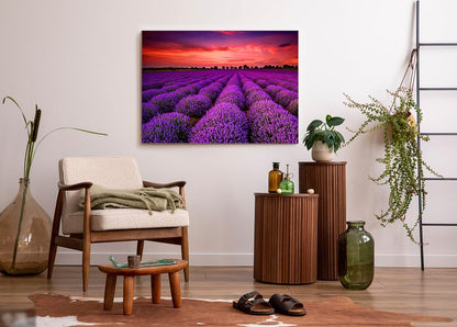 1000 Pieces for Spring Jigsaw Puzzles, Lavender Nature Landscape Flowers Puzzles for Adults, Plants Challenging Funny Puzzles for Friends Family Activity Game Nights Gifts - color: Spring