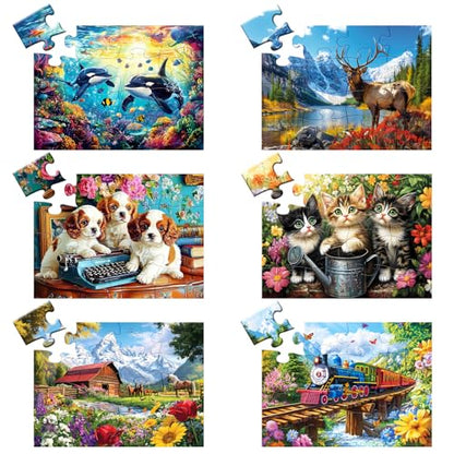6 Packs 16 Large Piece Puzzle for Seniors, Alzheimer Dementia Puzzles for Elderly Adults, Dementia Alzheimer's Products Activities Memory Cognitive Games Jigsaw Puzzles with 6 Storage Bags - style: 16 Large Pieces