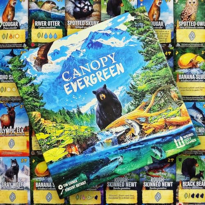 Weird City Games Canopy Evergreen, Strategy Board Game | For 1 to 4 Players and Ages 10+