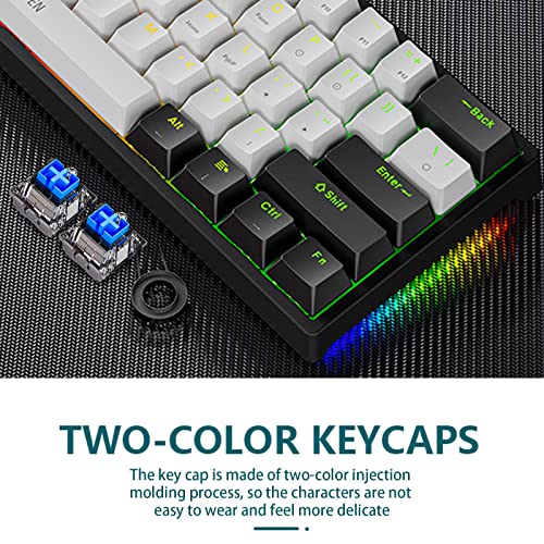60% Percent Keyboard with Detachable USB-C Small Mechanical Gaming Keyboard Portable 61 Keys Wired Keyboards with Variety RGB Backlit Waterproof White Gaming Keyboards Mini for Pc 11.81x4.13x1.38in