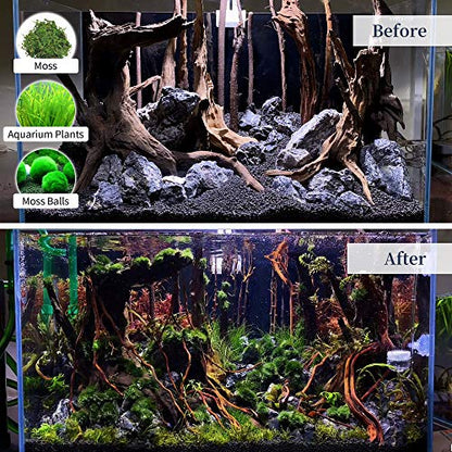 majoywoo Natural Large Driftwood for Aquarium Decor Reptile Decor 13-17" Long, Over 1.3 lbs - size: Mopani Driftwood 13 to 17 Inch (Pack of 1)