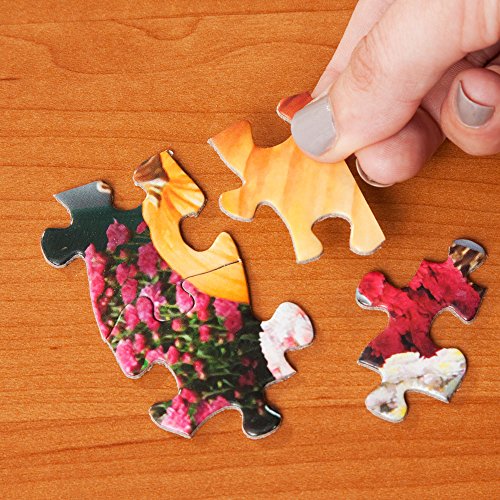 Bits and Pieces 3 Jigsaw Puzzle Set - 300 Piece Puzzles for Adults - Alan Giana Seasons Set - 18" x 24" Jigsaw Puzzles - Spring Winter Beach - Random Die Cut Pieces No 2 are Alike - size: 18" x 24" - Three 300 Piece Puzzles