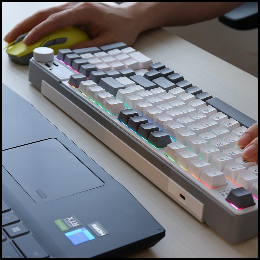 iRocks K85R Wireless RGB Backlit Mechanical Gaming Keyboard with LCD Display, Hot-Swappable Pre-lubed Brown Switches, 98 PBT Keys, USB-C Detachable Cable (ICY White, Bubble Switch) - color: Icy White