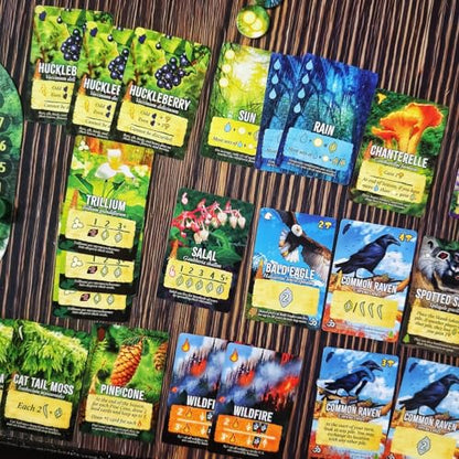 Weird City Games Canopy Evergreen, Strategy Board Game | For 1 to 4 Players and Ages 10+