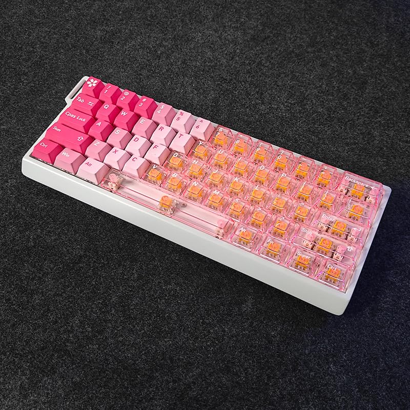 FKZ H60 Aluminum Keyboard Case,60% Compact Customized Mechanical Gaming Keyboard Housing Compatible with Wooting60/Win60/GH60/MADLIONS MAD60HE/61Keys Barebones Keyboard DIY (White) - color: White