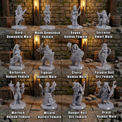 12 Pcs Unpainted DND Miniatures Set - Fantasy Tabletop RPG Figures for Dungeons & Dragons, Pathfinder - 28mm Scale Hero Characters Featuring All 12 Base Classes for Painting - 1 Inch Base